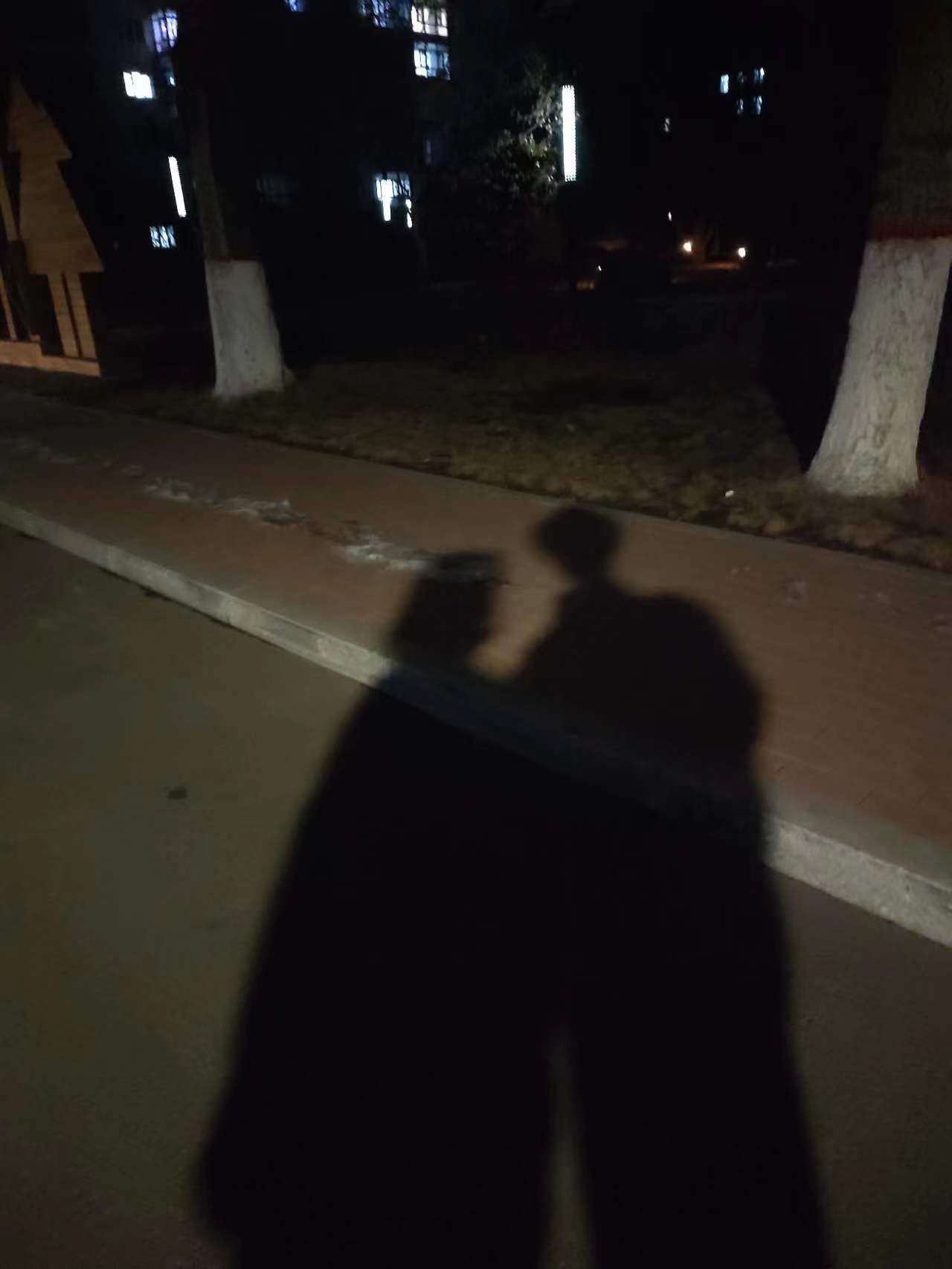 《女明星和他的男保镖》